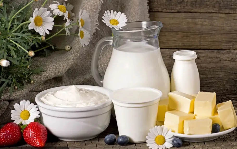 MILK, WHEY AND DAIRY PRODUCTS1